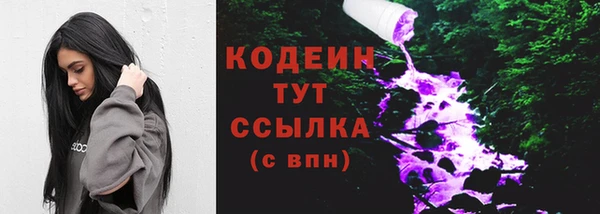apvp Богородицк