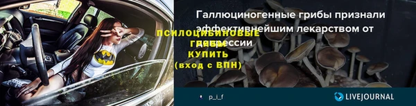 молекула духа Богородск
