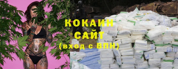 apvp Богородицк