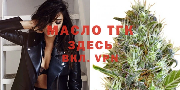 молекула духа Богородск