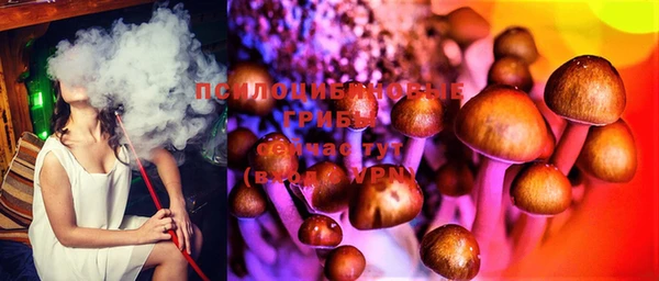герыч Богданович