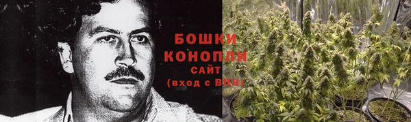 apvp Богородицк