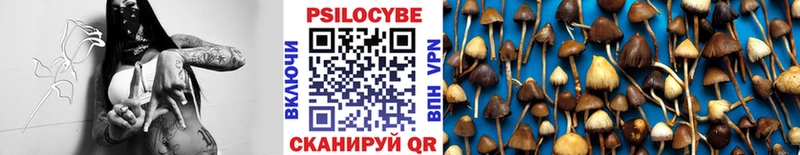 Псилоцибиновые грибы Cubensis  Купить где  Нея 